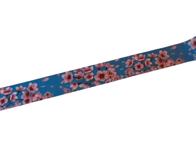 Kirschblüte